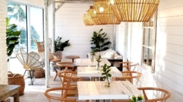 demo-attachment-881-george-pagan-iii-1391890-unsplash